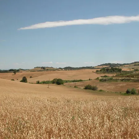 Mulino A Vento * Fauglia