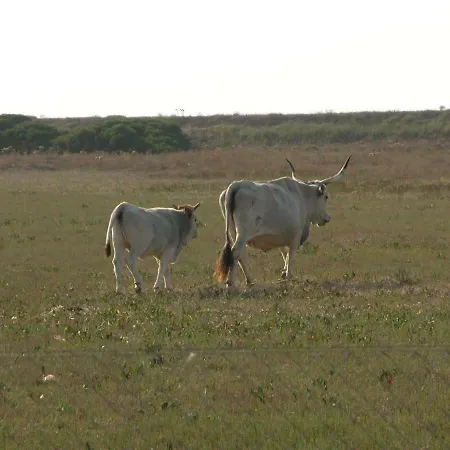 Nyaraló Mulino A Vento *