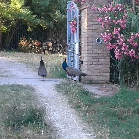 Semesterbostad Mulino A Vento