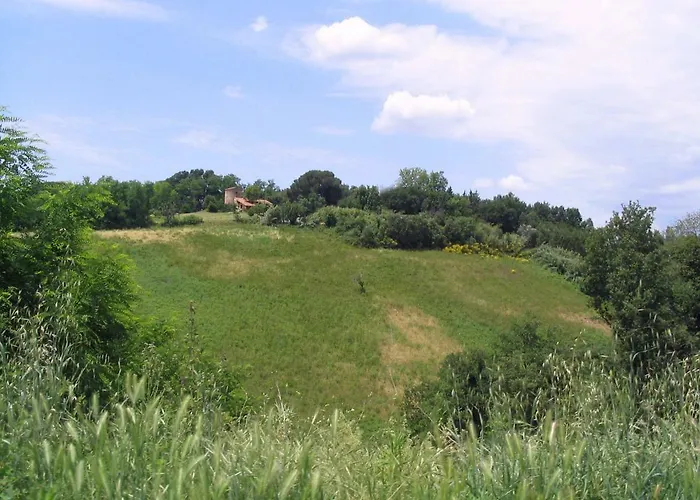 Holiday home Mulino A Vento Fauglia
